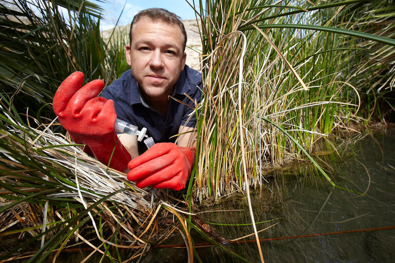 Brian Hedlund collects samples in grass at Lake Mead