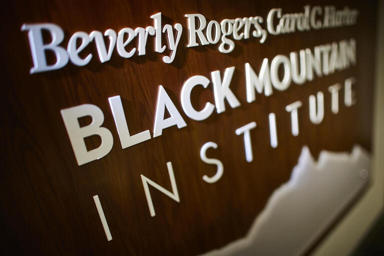 Black Mountain Institute