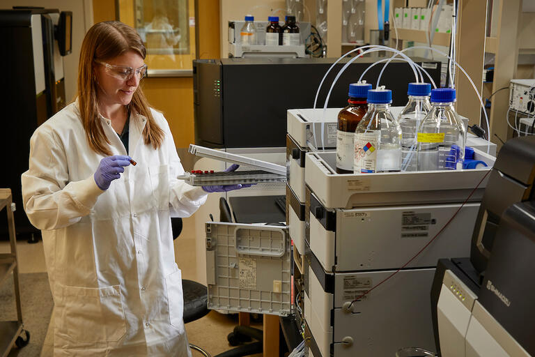 A researcher working in the lab of the Chambers-Grundy Center for Transformative Neuroscience