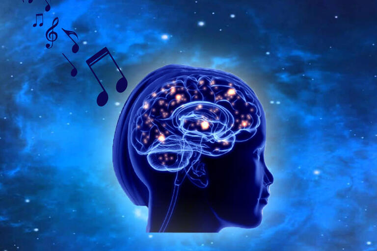 illustration of brain with music notes