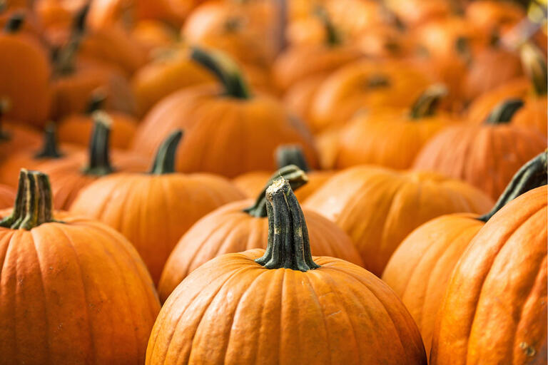pumpkins piled together