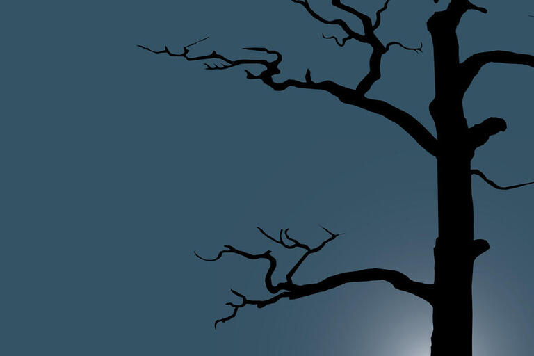 illustration of tree branches