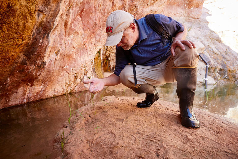 A man examining the soil and vegetation by a natural water source.