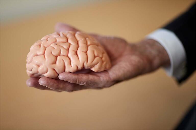 A hand-sized replica of a brain sitting inside the palm of a hand