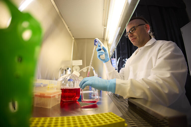 Sznajder working in his lab.