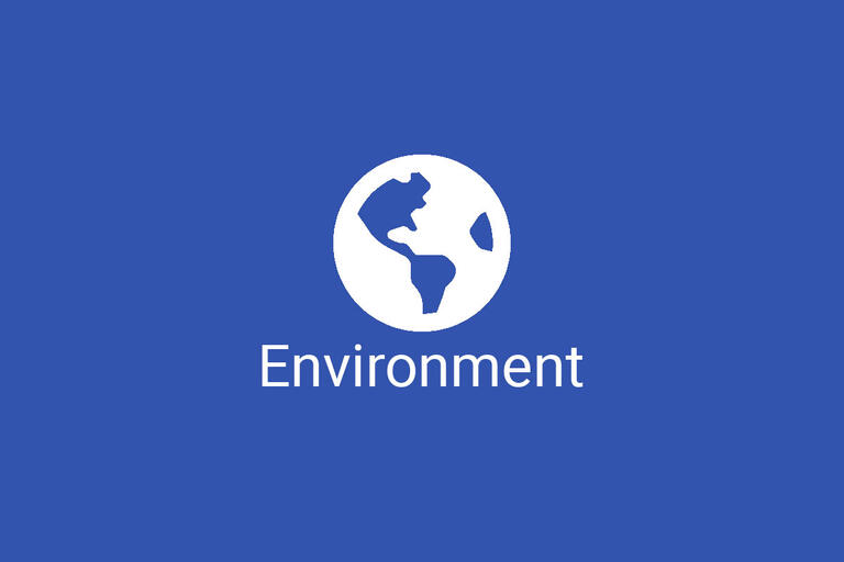 globe. Environment