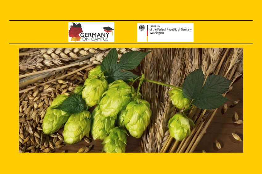 Close up of hops, used to make beer. Germany on Campus and Embassy of Federal Republic of Germany Washington logos.