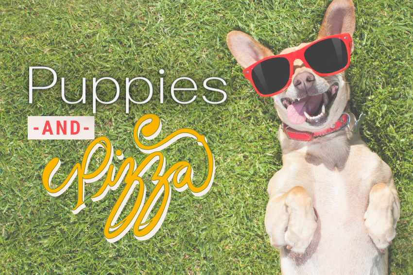 Puppies and pizza. A happy chihuahua with red sunglasses lays belly-up on a patch of grass