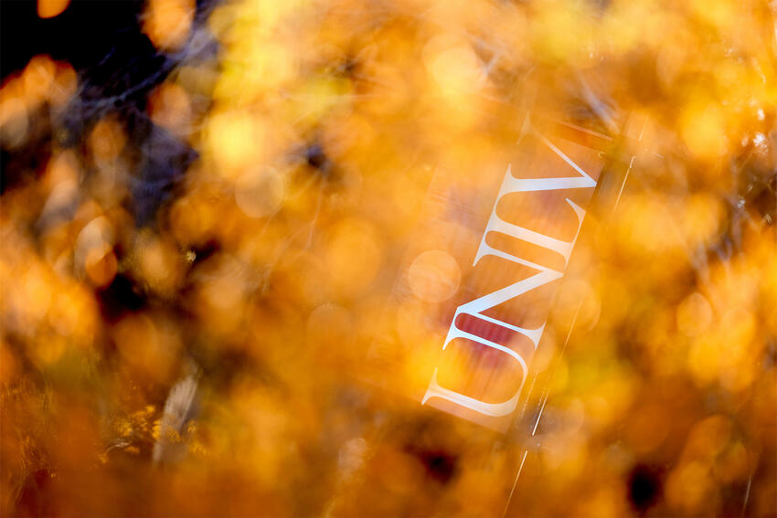 UNLV signage and autumn leaves