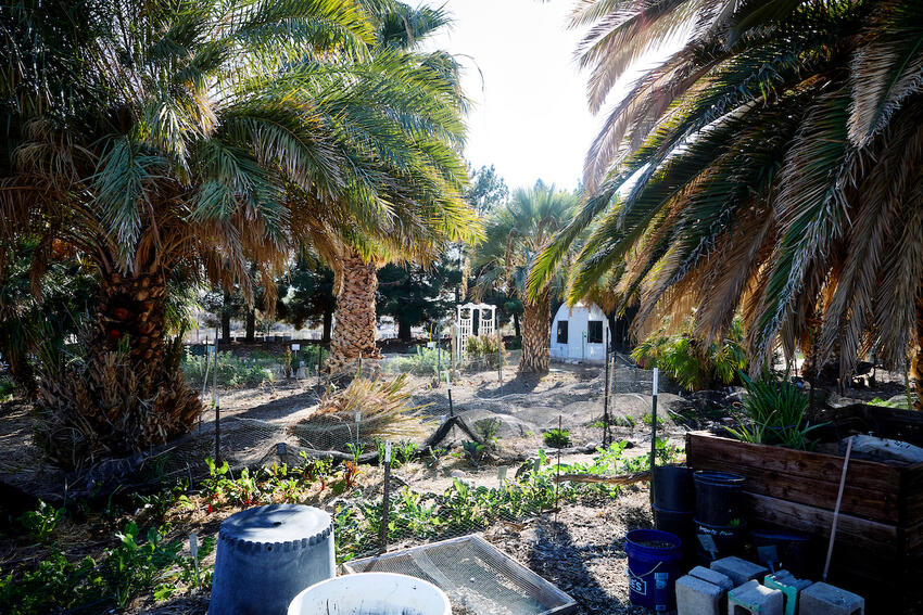 Center for Urban Water Conservation