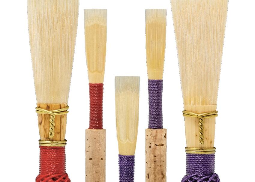 Close up image of double reeds