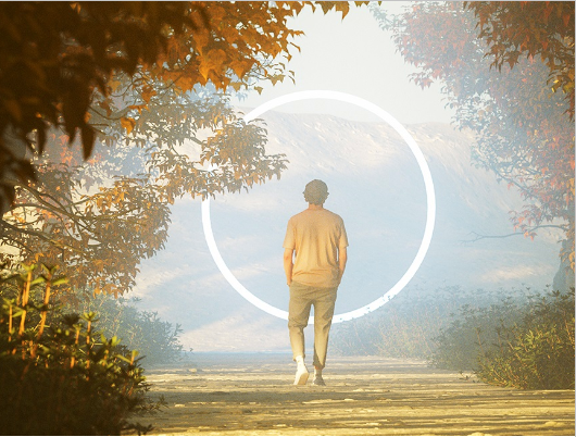 a person walking along a path in the woods