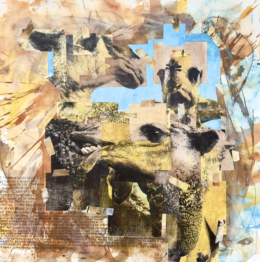 Andr&eacute;s Rave,&nbsp;What We Collect, 2026, Mixed Media