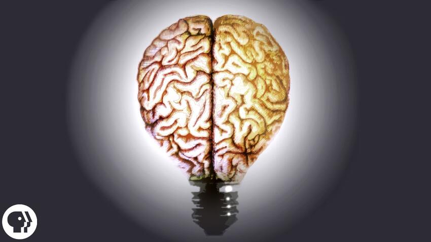 A brain lightbulb