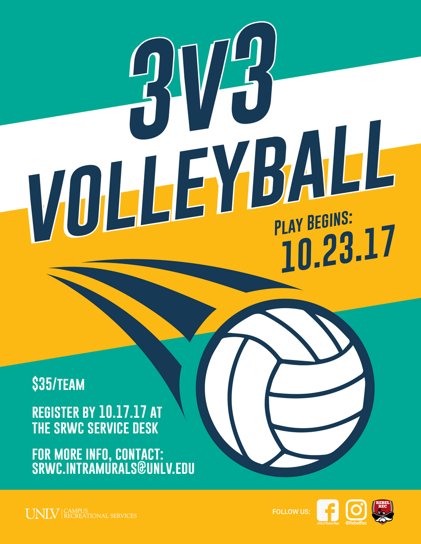 3v3 volleyball poster