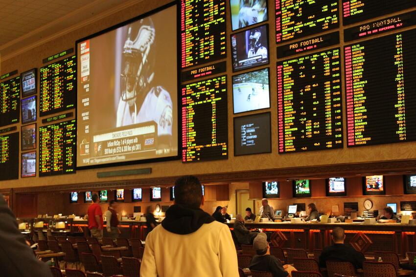 Man looks at a sports book