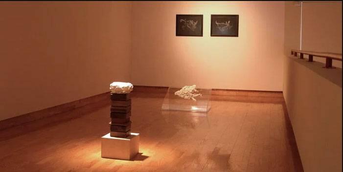MFA exhibit