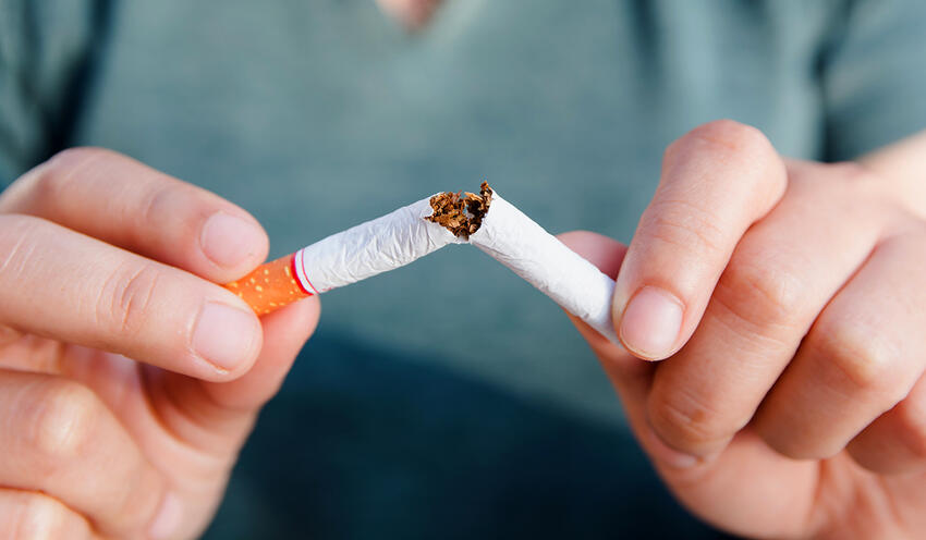 Person splitting a cigarette in half
