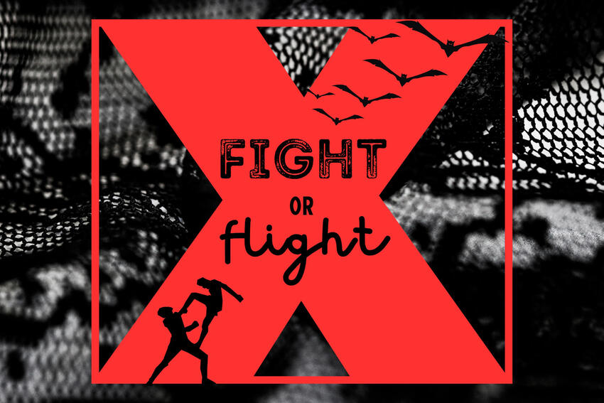 The image is a red &quot;X.&quot; The text, &quot;Fight or Flight,&quot; is superimposed over the X. An image of two people in a fight is on the left side of the X.