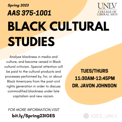 Flier for Black Cultural Studies AAS 375. A white and orange background with black text that relays the course information through graphic design and visual formatting..