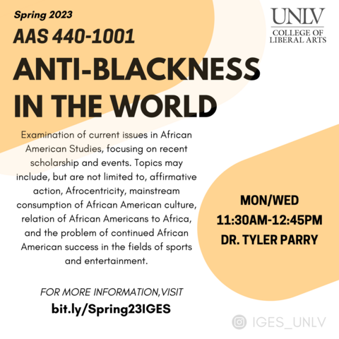 Flier for AAS 440. A white and orange background with black text that relays the course information through graphic design and visual formatting..
