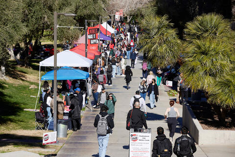 A long quarter-mile outdoor space split into seven grassy lots