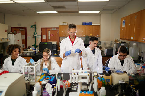 Students and a professor working in a science lab.