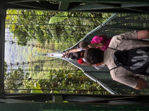 Honors College students cross a hanging bridge through Monteverde&rsquo;s cloud forest.