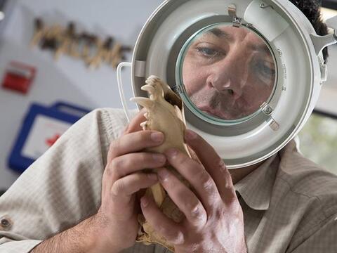 Professor studying bones under a magnifying glass.